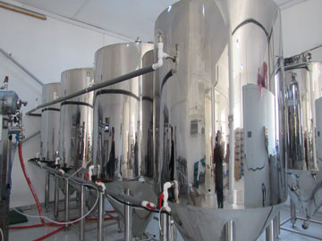 Brewery in Romania